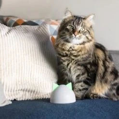 SureFlap Sure Petcare Hub -Hundebedarf 852b1bc3a8108075f76c20971c6ccd4d4ae1aeee 64f4b5749fc73b0bad1049a6b67d5e53fa50ba07