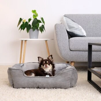 Lionto 2-in-1 Hundebett Hundekissen S 4 Lionto 2-in-1 Hundebett Hundekissen S – Bild 2