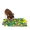 Lionto Schnüffelteppich Für Hunde Gelb/ Grün -Hundebedarf 86d53d18dffd0b66e6c00ebe9bf04f579706dda6 1665991 de DE 336287819258e2ef50d91f09fba20040b619213eVyTaye