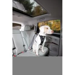 Kurgo Sicherheitsgeschirr XS 13 Kurgo Sicherheitsgeschirr XS -Hundebedarf 87813e7da78344d76194991149b2935972cb3fc9 9b7a4549d6992d8434083c74ff0b43057fd79273