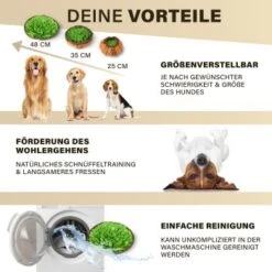 URBAN PAUL Schnüffelteppich - Grün -Hundebedarf 88b1e83589eb6f9b9d6ae1ee9e00f76cd280ec72 1477263 de DE c4a0dff3ce61eff6f47a9625e837cb3fb18e27168j8mOa