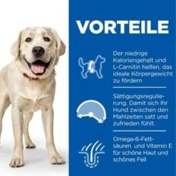 Hill's Science Plan Light Adult Large Breed Mit Huhn 18 Kg 13 Hill's Science Plan Light Adult Large Breed Mit Huhn 18 Kg -Hundebedarf 8a2f8f0cfb00e9d10c3215f8584bc7fdb5ea7eb1 52742025902 4