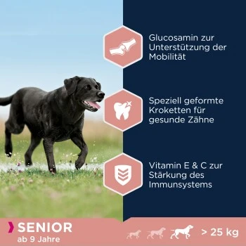 EUKANUBA Caring Senior Large Breed Chicken 15kg 4 EUKANUBA Caring Senior Large Breed Chicken 15kg – Bild 2