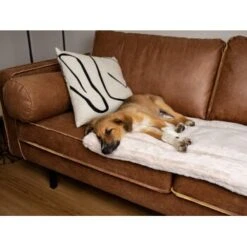 TrendPet Harmony Gefütterte Liegedecke Creme XS -Hundebedarf 8a90b0a9111c9f8c3102709bd3f96183b3562c59 1390614 de DE 76a51ca8d6aad29feaec164f24c0d781c9ed8ce7YdJOW0