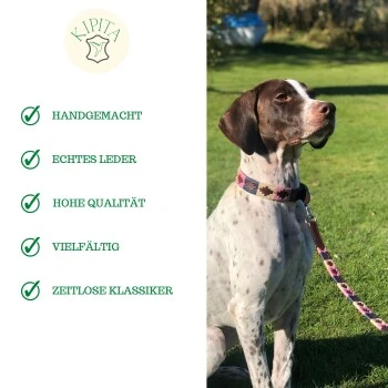 Kipita Polo Hundeleine Rainbow 8 Kipita Polo Hundeleine Rainbow – Bild 6