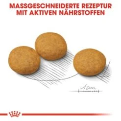 ROYAL CANIN Dermacomfort Medium 12 Kg 17 ROYAL CANIN Dermacomfort Medium 12 Kg -Hundebedarf 8f04353e35f6499cfaa322dbffbab4d24cf1658d 1376167 de DE iajs 7
