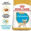 ROYAL CANIN Chihuahua Puppy 1,5 Kg -Hundebedarf 8f3c7494f2319f653be2c193767a51eb9ea74f27 56e7ebbd21a681dad8e71313340c67af224a2435