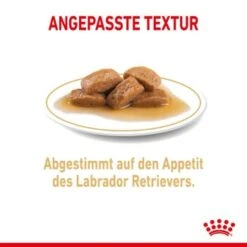ROYAL CANIN Labrador Retriever Adul Stückchen In Soße 10x140g -Hundebedarf 908d2bfcf8b7046cd23a14cb7b707cf7b2315fea b65885ba483fc622da80d0c8a5f75f1f8003e0ca