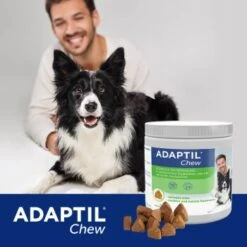 ADAPTIL Chew 30 Stück Anti Stress Snack 17 ADAPTIL Chew 30 Stück Anti Stress Snack -Hundebedarf 911ab9810720a965c25ffa3f6d5ebbcc45da40d1 1374744 5