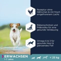EUKANUBA Getreidefrei Mit Fisch Für Kleine Und Mittelgroße Rassen 12 Kg 6 EUKANUBA Getreidefrei Mit Fisch Für Kleine Und Mittelgroße Rassen 12 Kg -Hundebedarf 95a7c60b2b44b04e3c68803673288106cd15523e 1376532 de DE Eukanuba benefits