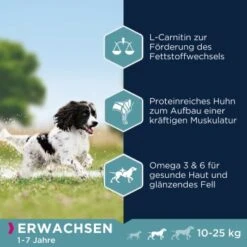 EUKANUBA Active Adult Medium Breed Mit Huhn 15 Kg -Hundebedarf 974a6b86f2565ad809ee31d93823535018b6d34e 8710255119786 2