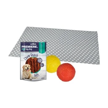 FIT+FUN Set Training - Snack + Ball + Liegedecke 3 FIT+FUN Set Training - Snack + Ball + Liegedecke