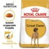 ROYAL CANIN Deutsche Dogge Adult 12 Kg -Hundebedarf 97d207fa12567d0c206402e2840af90d287f4221 84578e17f05abbe82038bbe96cdd406294c693da
