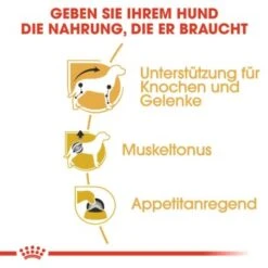 ROYAL CANIN Dachshund Adult Mousse 12x85g 13 ROYAL CANIN Dachshund Adult Mousse 12x85g -Hundebedarf 982fa56de23080eda60824de668a90bb86526e42 2f665959d4c475e51ab5a55b633f70a2346bb169