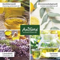 Aniforte Grasmilben-EX Spray Für Hunde 500ml 9 Aniforte Grasmilben-EX Spray Für Hunde 500ml -Hundebedarf 98329358e5e2ef353de9a78ab0da91fe0a2f3051 1655910 de DE 13bbe2651517a00574d86841d6226b7aad68eefbwKkY86