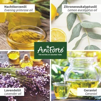 Aniforte Grasmilben-EX Spray Für Hunde 500ml 6 Aniforte Grasmilben-EX Spray Für Hunde 500ml – Bild 4