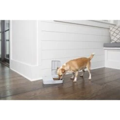 PetSafe Futterautomat Für 2 Mahlzeiten 25 PetSafe Futterautomat Für 2 Mahlzeiten -Hundebedarf 98670f242f118bad629edcf021dc784c6a55633d 1343837 2