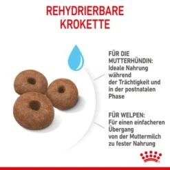 ROYAL CANIN Giant Starter 15kg 13 ROYAL CANIN Giant Starter 15kg -Hundebedarf 9bdc03bdb1381936f98533e63f927e8c42e86435 3182550778831 6