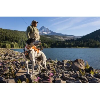 Ruffwear Front Range™ Halsband Rubin M 8 Ruffwear Front Range™ Halsband Rubin M – Bild 6