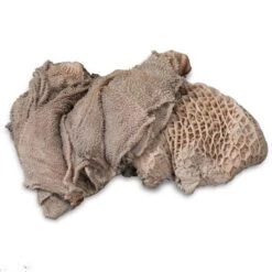 ProCani Buy Nature Blättermagen / Pansen Grün 16x500 G -Hundebedarf a1ab62f26a3d4f860be502cda7179019c594d7d1 1408372 de DE proCani Bl ttermagen Pansen gr n 500g