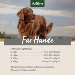 Aniforte FarmsLamb Lamm Mit Kürbis 2,4 Kg -Hundebedarf a2fbebd25601192e48d256e6ad1d961138f524b6 1422184 de DE ecf8c646fa9f7a73ce2de360e52f7434941d6424D7dkpY