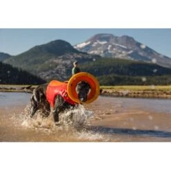 Ruffwear Hydro Plane™ Spielzeug M Orange 11 Ruffwear Hydro Plane™ Spielzeug M Orange -Hundebedarf a3976cd8510df92d7b86f42c35fd984bc0313421 1364300 de DE 7e1ea9adae25d55e79a8aed2cc6dc797ac8d0d03R1qvUL