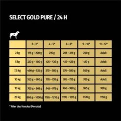 SELECT GOLD Pure Junior 100% Pferd 6x400 G -Hundebedarf a3fffe8b54d789f03bd2cc8a01c31a33eb5c29af 1286882 de DE 7
