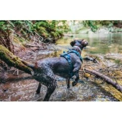 Kurgo Journey Air Hundegeschirr Blau/ Grau L 13 Kurgo Journey Air Hundegeschirr Blau/ Grau L -Hundebedarf a4350be6a2cf19b9d7aaa9c1b93505a674fae49c 1353742 de DE d9d61dbeff29f339bbfc0a1de7ebbca10df26980OCBtYH