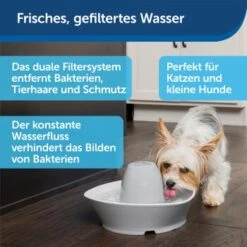 PetSafe Trinkbrunnen Streamside -Hundebedarf a4863bb01c9defc206f3abadb7407b11767619bd 1423698 de DE d7c376710365041814bb26a7ca9d55a6a9011fd8Nm0GoI