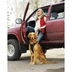 Kurgo Sicherheitsgeschirr XS 9 Kurgo Sicherheitsgeschirr XS -Hundebedarf a4c7eb8e01c5ebf8b8255f21e324157d729bdb03 42ffd01cdabc319c346d47b466ac3c3ee74ac6ef