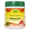 Singulares Ulmenrinde (europäisch) -Hundebedarf a5c62923372b8d8473834e2564aea7a54b8672c8 1642906 de DE 83b8350e4f7dd55250cefee89dc0f6af6bd0c2dcuvaVr4
