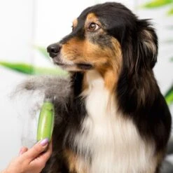 Moser Unterwollrechen -Hundebedarf a9457afef8cc9854b1cc05428060e6aca1aa62d7 f209ef3f70da272484eca7394d5156f09925de7d