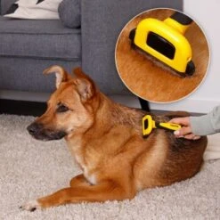 Lionto Haustierbürste, Zupfbürste 13 Lionto Haustierbürste, Zupfbürste -Hundebedarf a99a14a7250fd4e501ec529126934f0a8e973480 1665908 de DE 47ac745e0253c5bc3fba7e69b1681c237a8f3a97orElkU