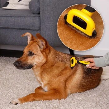 Lionto Haustierbürste, Zupfbürste 8 Lionto Haustierbürste, Zupfbürste – Bild 6