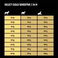 SELECT GOLD Sensitive Senior Maxi Lamm & Reis 4 Kg -Hundebedarf aa78ff5876e7610406354855bc1742a79f0eb6d9 1001718008 de DE 7
