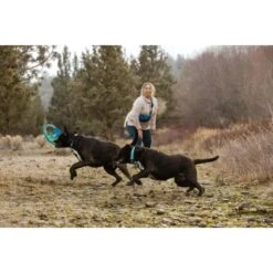 Ruffwear Pacific Ring™ Spielzeug Blau/ Türkis -Hundebedarf aaae4ecd59db92ffe25787fd56b7315d42974ecb 1444351 de DE f747ae339bc2beff156a317c539c1237b854177bd9ZZMN