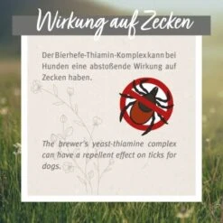 Aniforte Zecken Schild (35 Bis 50kg) Für Große Hunde 60 Kapseln 13 Aniforte Zecken Schild (35 Bis 50kg) Für Große Hunde 60 Kapseln -Hundebedarf ad2de8fc0b4c8ddf396130dcf73c32c9c0c892f7 1444358 de DE 6700813aa03bffd9cf2beb8a7d73b7965a418ce5MKcQzS