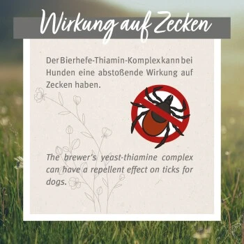 Aniforte Zecken Schild (35 Bis 50kg) Für Große Hunde 60 Kapseln 8 Aniforte Zecken Schild (35 Bis 50kg) Für Große Hunde 60 Kapseln – Bild 6