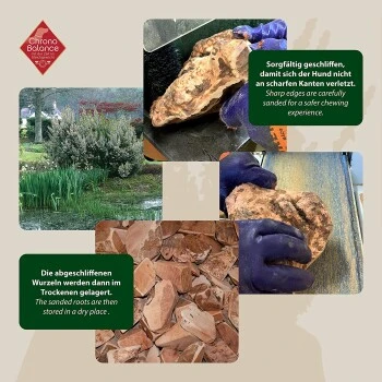 ChronoBalance Kauwurzel Baumheide (M) 2er Paket 5 ChronoBalance Kauwurzel Baumheide (M) 2er Paket – Bild 3