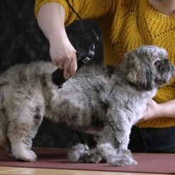 Moser Schermaschine Max 45 Inkl. ASK 11 Moser Schermaschine Max 45 Inkl. ASK -Hundebedarf b0d4eca208b1c44fde9769108a0a7feb3a3a5ad2 da57035be550c76ab9dcf7d8dbc15959d076f3f0