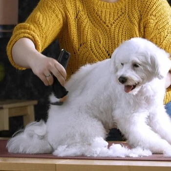 Moser Schermaschine Arco Pro 6 Moser Schermaschine Arco Pro – Bild 4