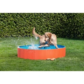 FIT+FUN Pool S 6 FIT+FUN Pool S – Bild 4