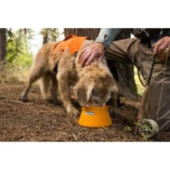 Ruffwear Bivy™ Faltbarer Napf -Hundebedarf b21f85e12f046bba6b04285e99963c46170021f9 1651613 de DE 125ef372cbb05a1c89e3245701a5cdf0079102b6GpOPij