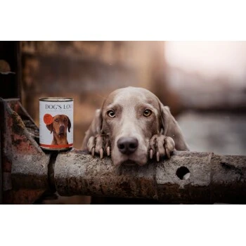 DOG'S LOVE Adult Classic 6x400g Rind Mit Apfel & Spinat 4 DOG'S LOVE Adult Classic 6x400g Rind Mit Apfel & Spinat – Bild 2