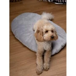 TrendPet Emma Liegekissen Grau S -Hundebedarf b48aa1ae4cf4d68ec69ba4c37d516f74528715ee 1369472 de DE b2ffa28c3681679283b9f0b59962e0ca3348cc04HFyDSJ