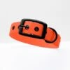 THE DOG IDEA Biothane Halsband Orange Schwarz XS 1 THE DOG IDEA Biothane Halsband Orange Schwarz XS -Hundebedarf b48de95667cbe68bbb1f84091bccf688baf6c72f 1662780 de DE ec18156cbc7bd79b620854b16c3302d9f60bd281v7iXWS