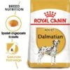 ROYAL CANIN Dalmatian Adult 12 Kg 1 ROYAL CANIN Dalmatian Adult 12 Kg -Hundebedarf b8f723fb7b584da59f1b14101fb45574a1f6a9f1 bca6c71f5bf09c21e15b0569412c8db62c9f908c