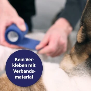 Canosept Wundgel Für Hunde 20 Ml 4 Canosept Wundgel Für Hunde 20 Ml – Bild 2