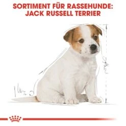 ROYAL CANIN Jack Russel Terrier Puppy 1,5kg -Hundebedarf bb3f5f8c600f3d186a55e0b092a0352606da8b46 5f62f0670b22e1110337187d33f26910051f1a81