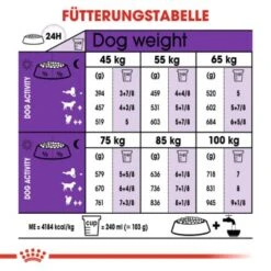 ROYAL CANIN Giant Adult 15 Kg 12 ROYAL CANIN Giant Adult 15 Kg -Hundebedarf bb50d7e015d4deee5442700d2381e79cae0c356d 8aaae0d8361a55055b1ede5a8e69fe3936511e10